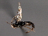  ( - 07PROBE-22723)  @13 [ ] CreativeCommons - Attribution (2009) Unspecified Centre for Biodiversity Genomics