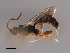  ( - 07PROBE-22730)  @13 [ ] CreativeCommons - Attribution (2009) Unspecified Centre for Biodiversity Genomics