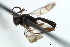  ( - 07PROBE-23057)  @12 [ ] CreativeCommons - Attribution (2009) Unspecified Centre for Biodiversity Genomics