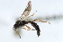  ( - 07PROBE-23062)  @13 [ ] CreativeCommons - Attribution (2009) Unspecified Centre for Biodiversity Genomics