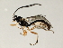  ( - 07PROBE-23220)  @13 [ ] CreativeCommons - Attribution (2009) Unspecified Centre for Biodiversity Genomics