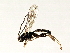  ( - 07PROBE-23230)  @12 [ ] CreativeCommons - Attribution (2009) Unspecified Centre for Biodiversity Genomics