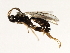  ( - 07PROBE-23242)  @13 [ ] CreativeCommons - Attribution (2009) Unspecified Centre for Biodiversity Genomics