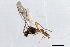  ( - 07PROBE-23291)  @12 [ ] CreativeCommons - Attribution (2010) Unspecified Centre for Biodiversity Genomics
