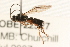  ( - 07PROBE-22527)  @13 [ ] CreativeCommons - Attribution (2009) Unspecified Centre for Biodiversity Genomics