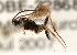  ( - 07PROBE-22868)  @13 [ ] CreativeCommons - Attribution (2009) Unspecified Centre for Biodiversity Genomics