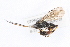  ( - 07PROBE-22877)  @14 [ ] CreativeCommons - Attribution (2009) Unspecified Centre for Biodiversity Genomics