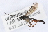  ( - 07PROBE-22902)  @12 [ ] CreativeCommons - Attribution (2009) Unspecified Centre for Biodiversity Genomics