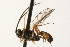 ( - 07PROBE-22942)  @13 [ ] CreativeCommons - Attribution (2009) Unspecified Centre for Biodiversity Genomics