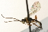  ( - 07PROBE-22983)  @13 [ ] CreativeCommons - Attribution (2009) Unspecified Centre for Biodiversity Genomics