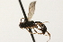 ( - 07PROBE-23073)  @12 [ ] CreativeCommons - Attribution (2009) Unspecified Centre for Biodiversity Genomics