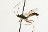  ( - 07PROBE-23112)  @13 [ ] CreativeCommons - Attribution (2009) Unspecified Centre for Biodiversity Genomics