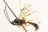  ( - 07PROBE-22611)  @12 [ ] CreativeCommons - Attribution (2009) Unspecified Centre for Biodiversity Genomics