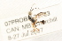  ( - 07PROBE-22773)  @12 [ ] CreativeCommons - Attribution (2009) Unspecified Centre for Biodiversity Genomics