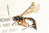  ( - 07PROBE-22782)  @13 [ ] CreativeCommons - Attribution (2009) Unspecified Centre for Biodiversity Genomics