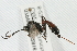  ( - 07PROBE-22816)  @13 [ ] CreativeCommons - Attribution (2009) Unspecified Centre for Biodiversity Genomics