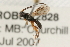  ( - 07PROBE-22828)  @13 [ ] CreativeCommons - Attribution (2009) Unspecified Centre for Biodiversity Genomics