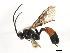  ( - 07PROBE-23538)  @14 [ ] CreativeCommons - Attribution (2010) Unspecified Centre for Biodiversity Genomics