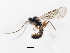 ( - 07PROBE-23598)  @12 [ ] CreativeCommons - Attribution (2010) Unspecified Centre for Biodiversity Genomics
