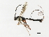  ( - 07PROBE-23648)  @14 [ ] CreativeCommons - Attribution (2010) Unspecified Centre for Biodiversity Genomics