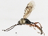  ( - 07PROBE-23690)  @13 [ ] CreativeCommons - Attribution (2010) Unspecified Centre for Biodiversity Genomics