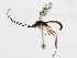  ( - 07PROBE-23726)  @14 [ ] CreativeCommons - Attribution (2010) Unspecified Centre for Biodiversity Genomics