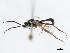  ( - 07PROBE-23781)  @13 [ ] CreativeCommons - Attribution (2010) Unspecified Centre for Biodiversity Genomics