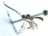  ( - 07PROBE-23785)  @13 [ ] CreativeCommons - Attribution (2010) Unspecified Centre for Biodiversity Genomics