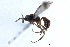  ( - 07PROBE-23788)  @13 [ ] CreativeCommons - Attribution (2010) Unspecified Centre for Biodiversity Genomics