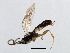  ( - 07PROBE-23810)  @13 [ ] CreativeCommons - Attribution (2009) Unspecified Centre for Biodiversity Genomics