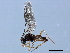  ( - 07PROBE-23835)  @12 [ ] CreativeCommons - Attribution (2010) Unspecified Centre for Biodiversity Genomics