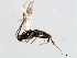  ( - 07PROBE-23880)  @13 [ ] CreativeCommons - Attribution (2010) Unspecified Centre for Biodiversity Genomics