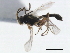  ( - CNCH0059)  @13 [ ] CreativeCommons - Attribution (2010) Unspecified Centre for Biodiversity Genomics