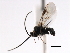  ( - CNCH0420)  @13 [ ] CreativeCommons - Attribution (2010) Unspecified Centre for Biodiversity Genomics