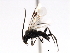  ( - CNCH0421)  @13 [ ] CreativeCommons - Attribution (2010) Unspecified Centre for Biodiversity Genomics