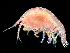 ( - HMSC174_01021)  @11 [ ] by-nc-sa  Unspecified Huntsman Marine Science Centre
