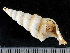  ( - HMSC174-01465)  @11 [ ] by-nc-sa  Unspecified Huntsman Marine Science Centre