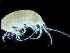  ( - HMSC174_01902)  @11 [ ] by-nc-sa  Unspecified Huntsman Marine Science Centre