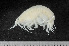  (Wecomedon - HMSC174_02193)  @11 [ ] by-nc-sa  Unspecified Huntsman Marine Science Centre