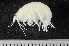  ( - HMSC174_02194)  @11 [ ] by-nc-sa  Unspecified Huntsman Marine Science Centre