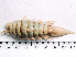  ( - HMSC174-02510)  @11 [ ] by-nc-sa  Unspecified Huntsman Marine Science Centre