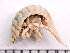  ( - HMSC174-02510)  @11 [ ] by-nc-sa  Unspecified Huntsman Marine Science Centre