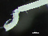  ( - HMSC174-03200)  @11 [ ] by-nc-sa  Unspecified Huntsman Marine Science Centre