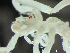  ( - HMSC174-03200)  @11 [ ] by-nc-sa  Unspecified Huntsman Marine Science Centre
