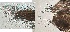  ( - HMSC174-03221)  @11 [ ] by-nc-sa  Unspecified Huntsman Marine Science Centre