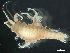  ( - HMSC174-03221)  @11 [ ] by-nc-sa  Unspecified Huntsman Marine Science Centre