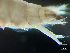  ( - HMSC174-03223)  @11 [ ] by-nc-sa  Unspecified Huntsman Marine Science Centre