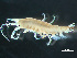  ( - HMSC174-03225)  @11 [ ] by-nc-sa  Unspecified Huntsman Marine Science Centre