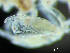  ( - HMSC174-03239)  @11 [ ] by-nc-sa  Unspecified Huntsman Marine Science Centre