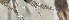  ( - HMSC174-03291)  @11 [ ] by-nc-sa  Unspecified Huntsman Marine Science Centre